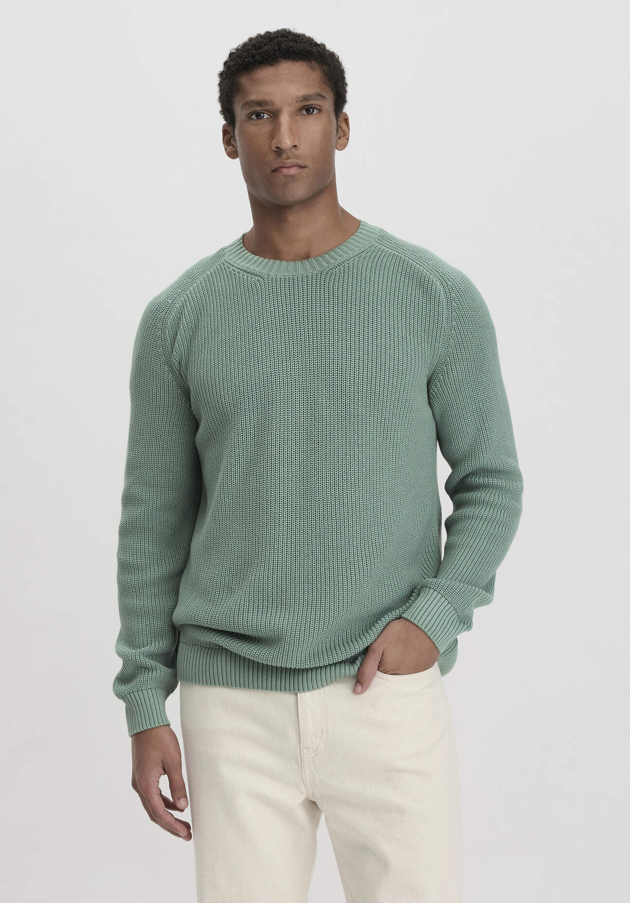 Thumbnail - hessnatur Herren Pullover Regular aus Bio-Baumwolle - grün - Größe 54