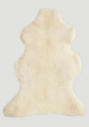 Lambskin Mimosa Lambskin Mimosa