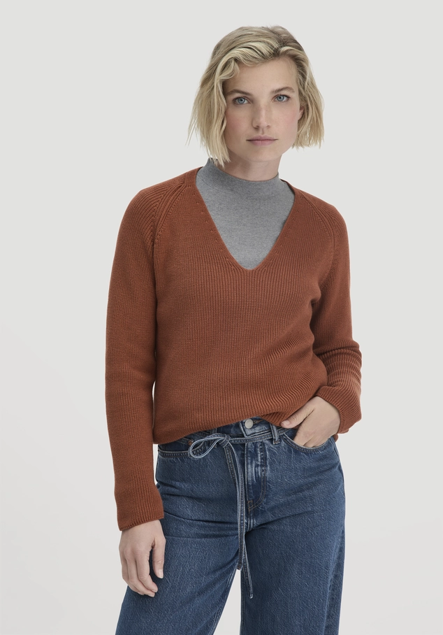 Strick Pullover Regular aus reiner Bio-Baumwolle