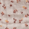 sun apricot