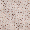 sun apricot
