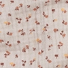 sonnenapricot