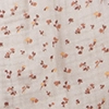 sonnenapricot