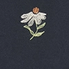 marine
