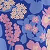 cornflower