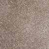 bark